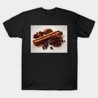 Winter Spices T-Shirt